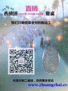 养殖场直销羊肉